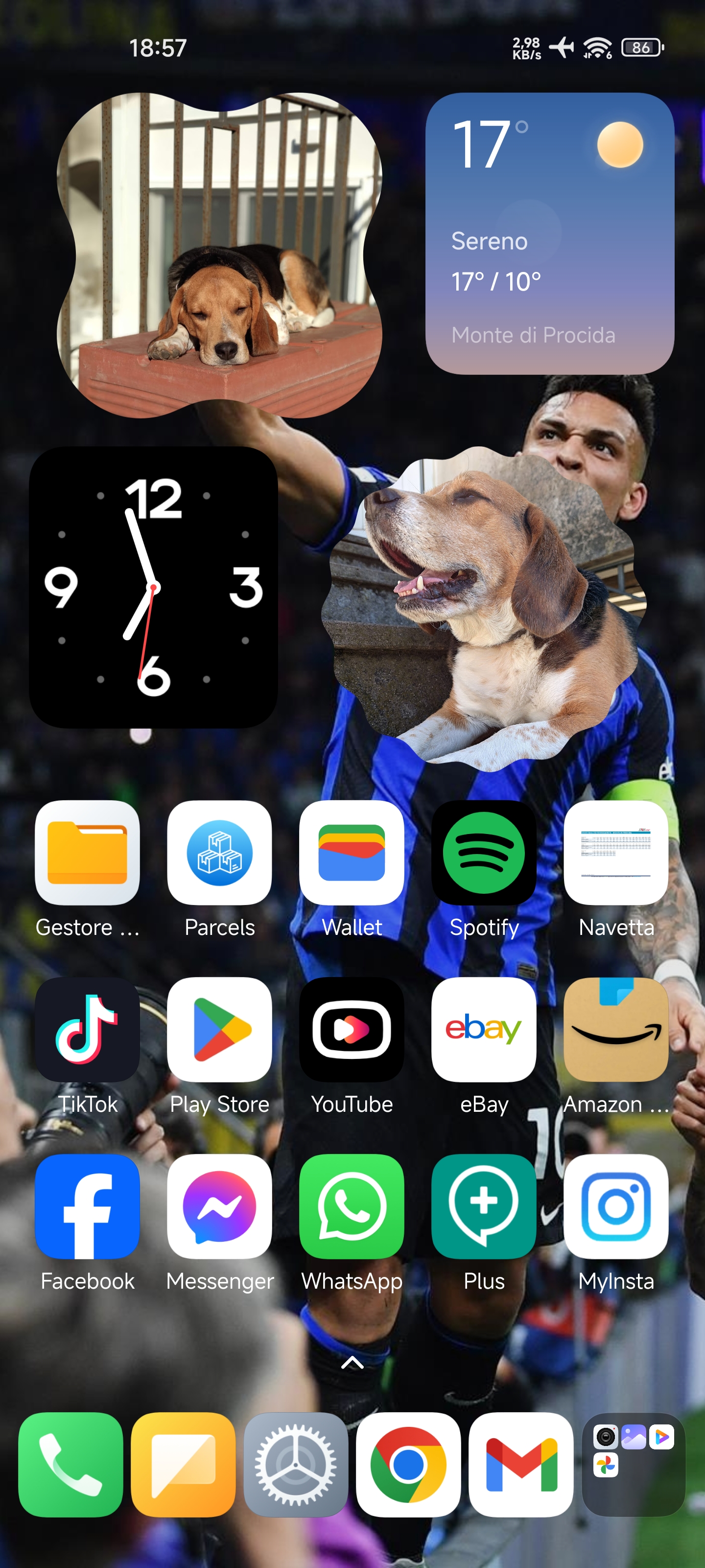 1000019262.jpg