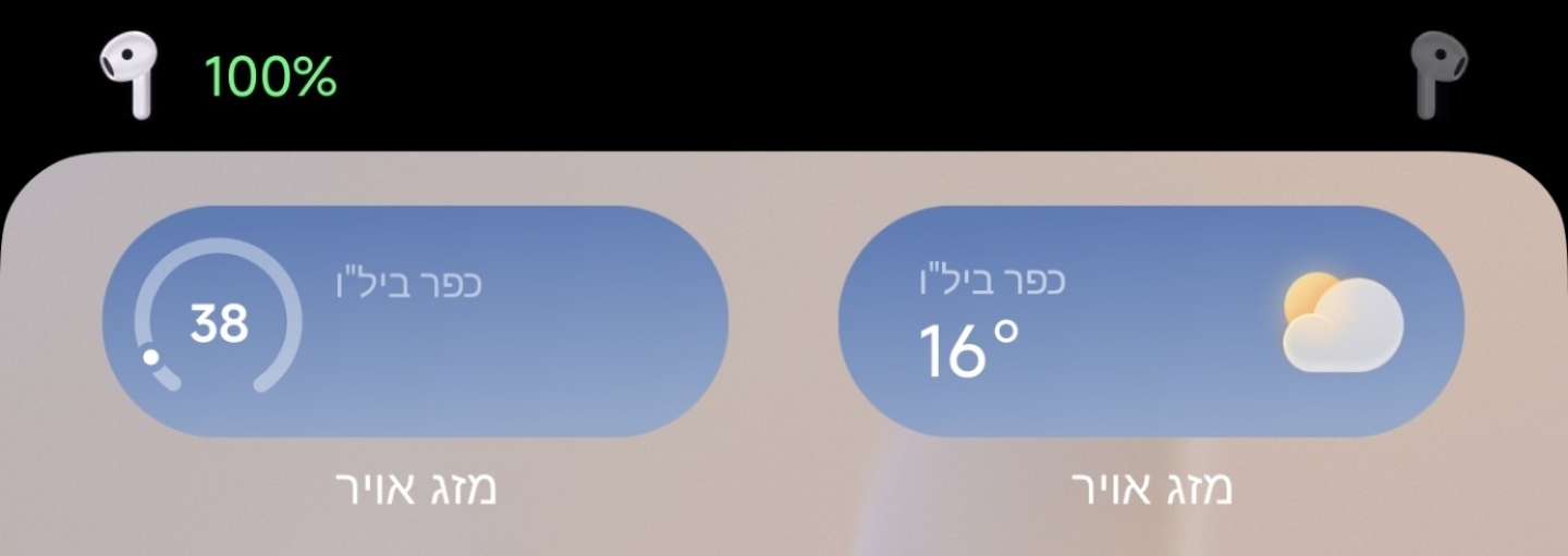 1000204132.jpg