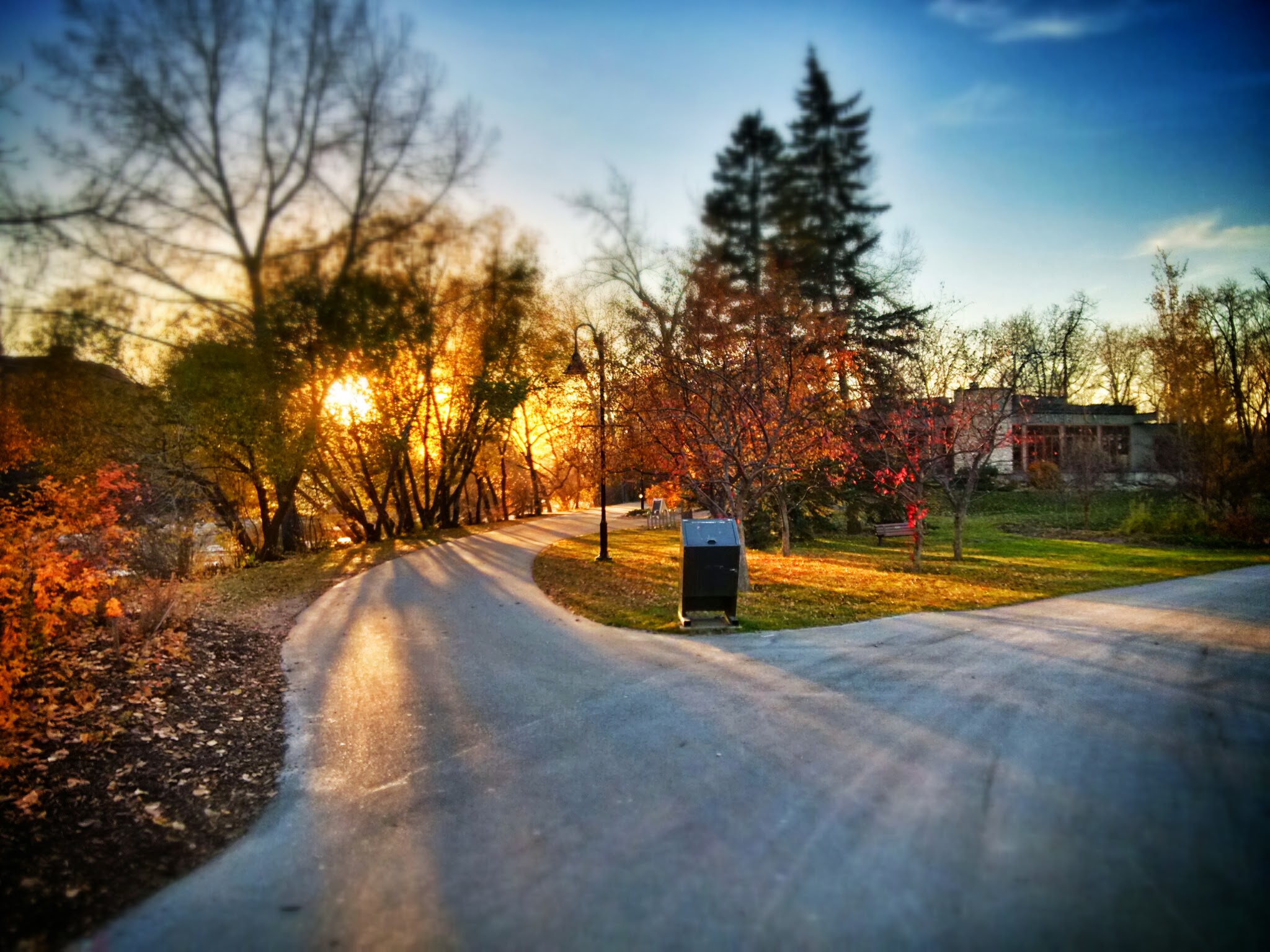 IMG_20131025_174103_HDR.jpg
