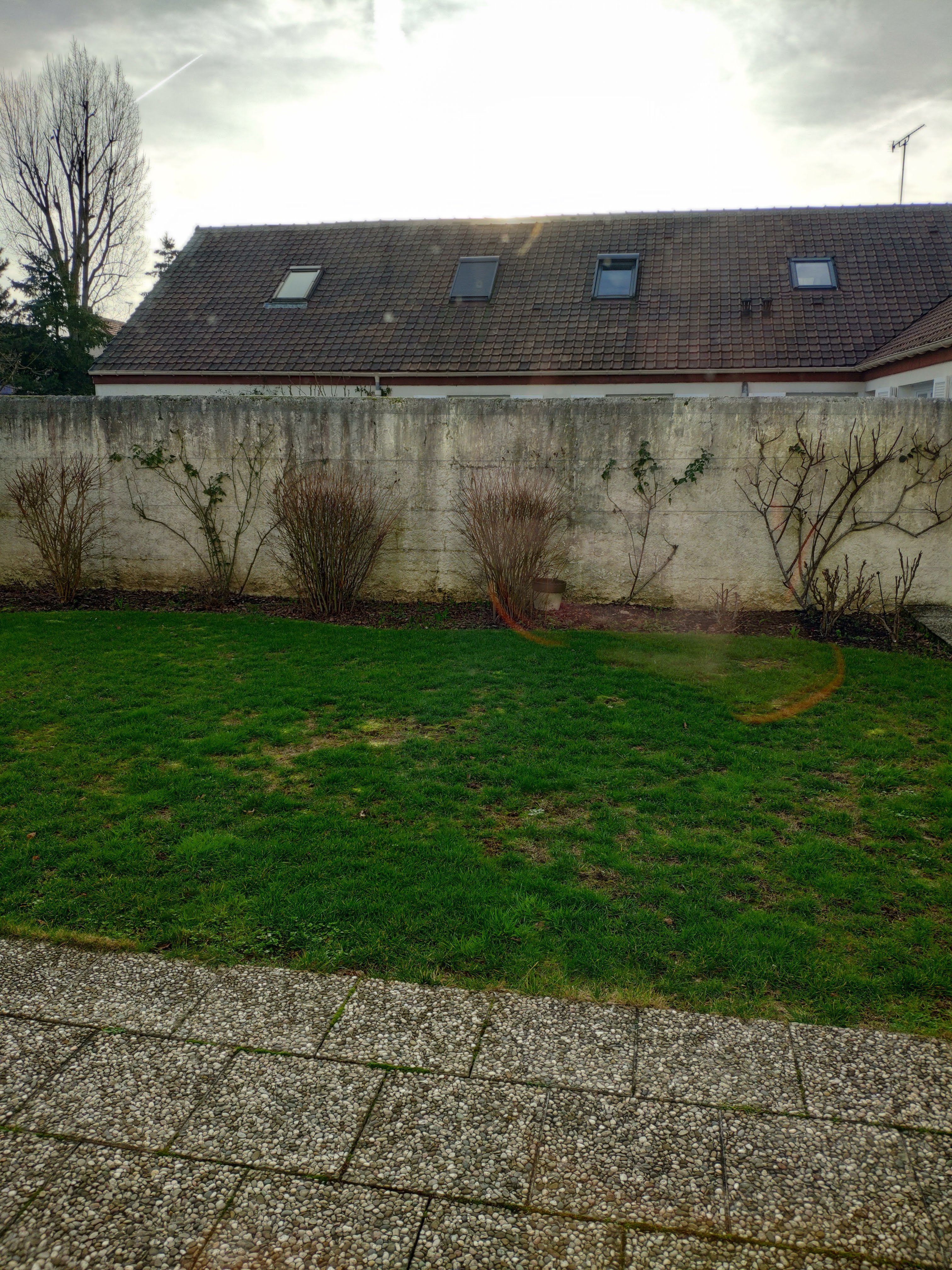 IMG_20190212_165501.jpg