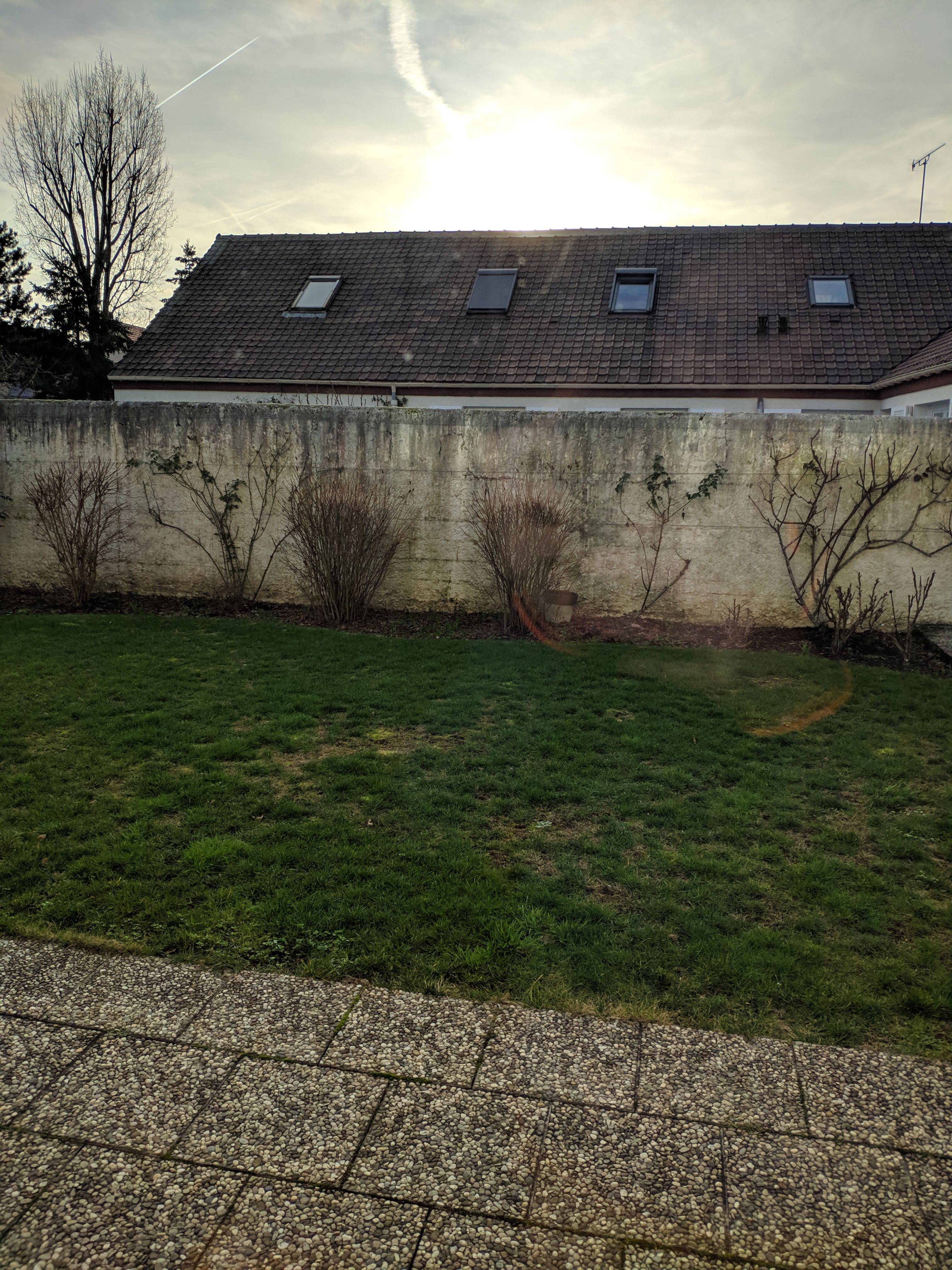 IMG_20190212_165512.jpg