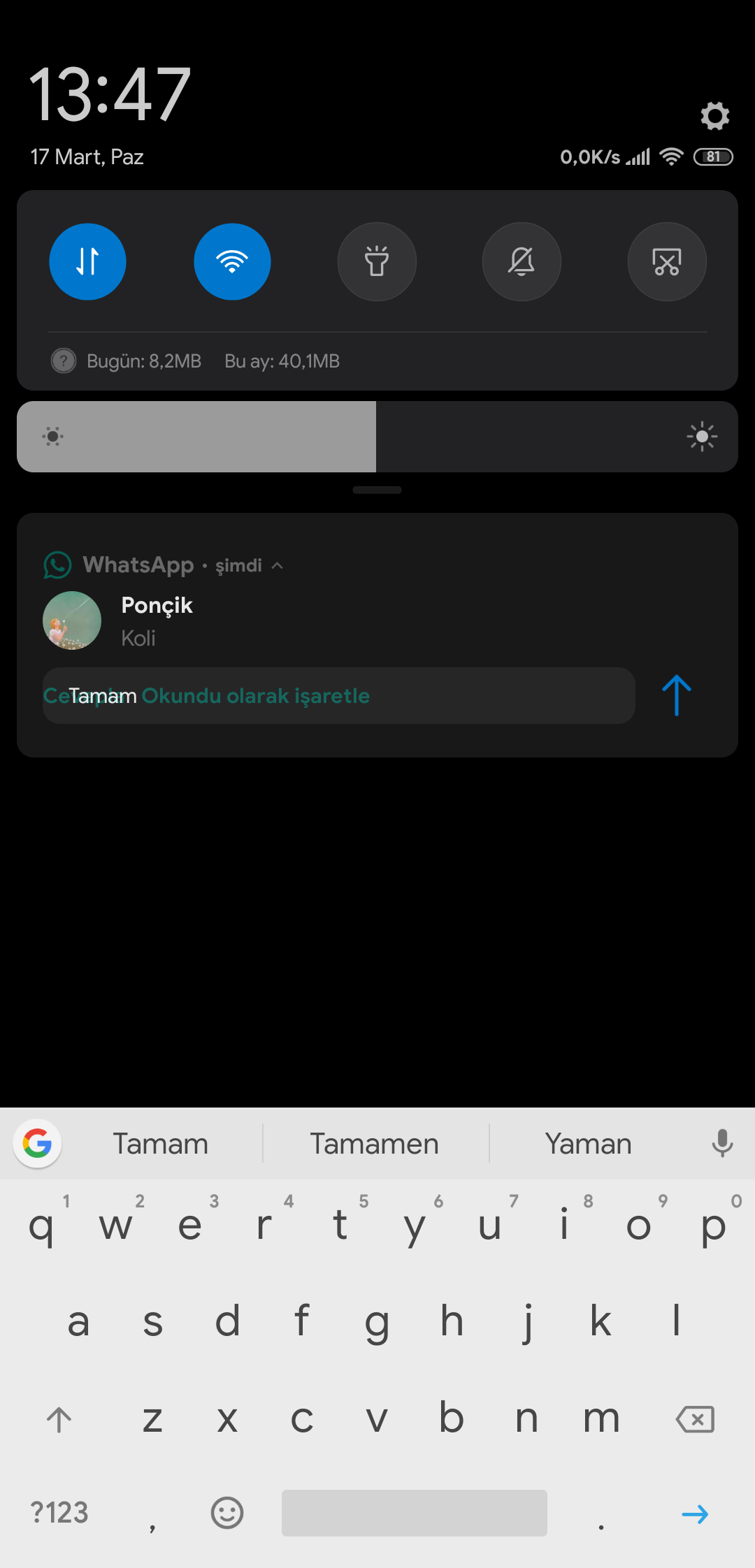 Screenshot_2019-03-17-13-47-01-754_com.miui.bugreport.png