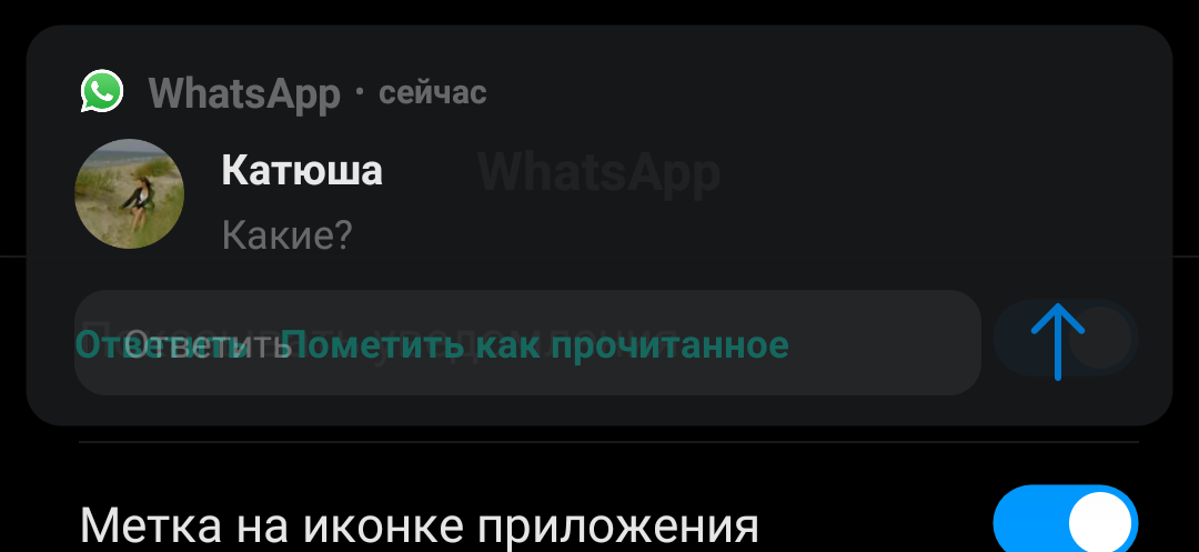 24568