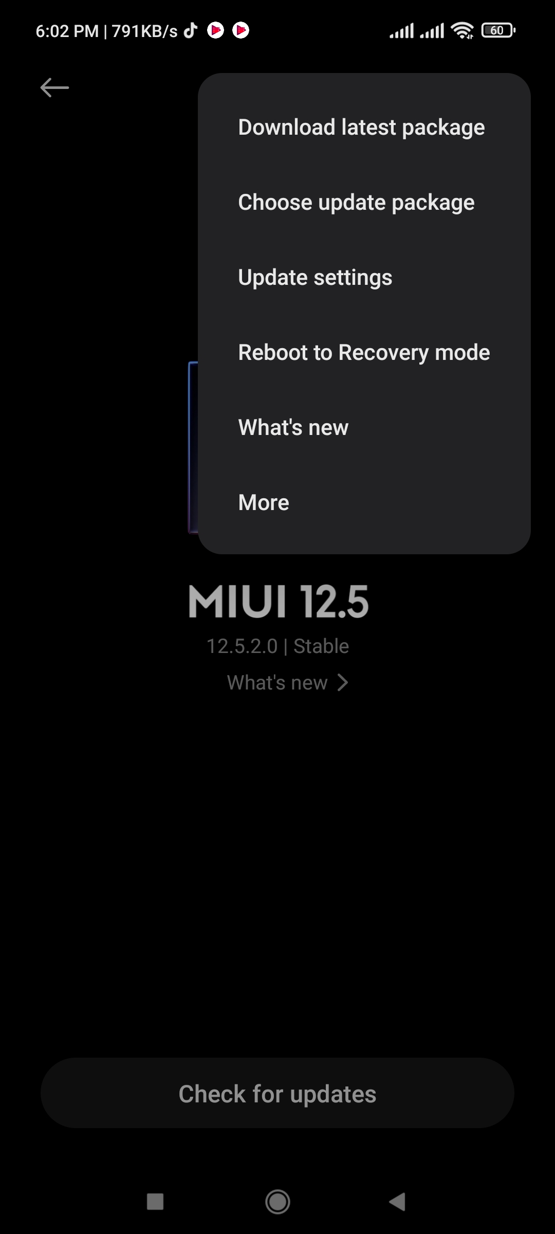 Screenshot_2021-08-22-18-02-09-244_com.android.updater.jpg