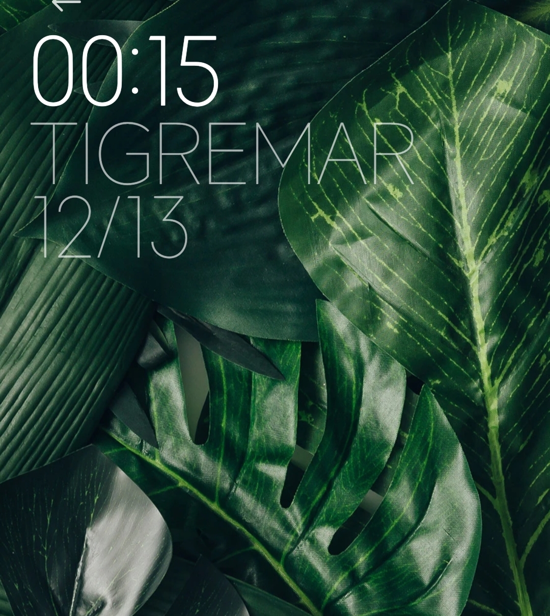 Screenshot_2022-12-13-00-16-03-126-edit_com.android.systemui.jpg