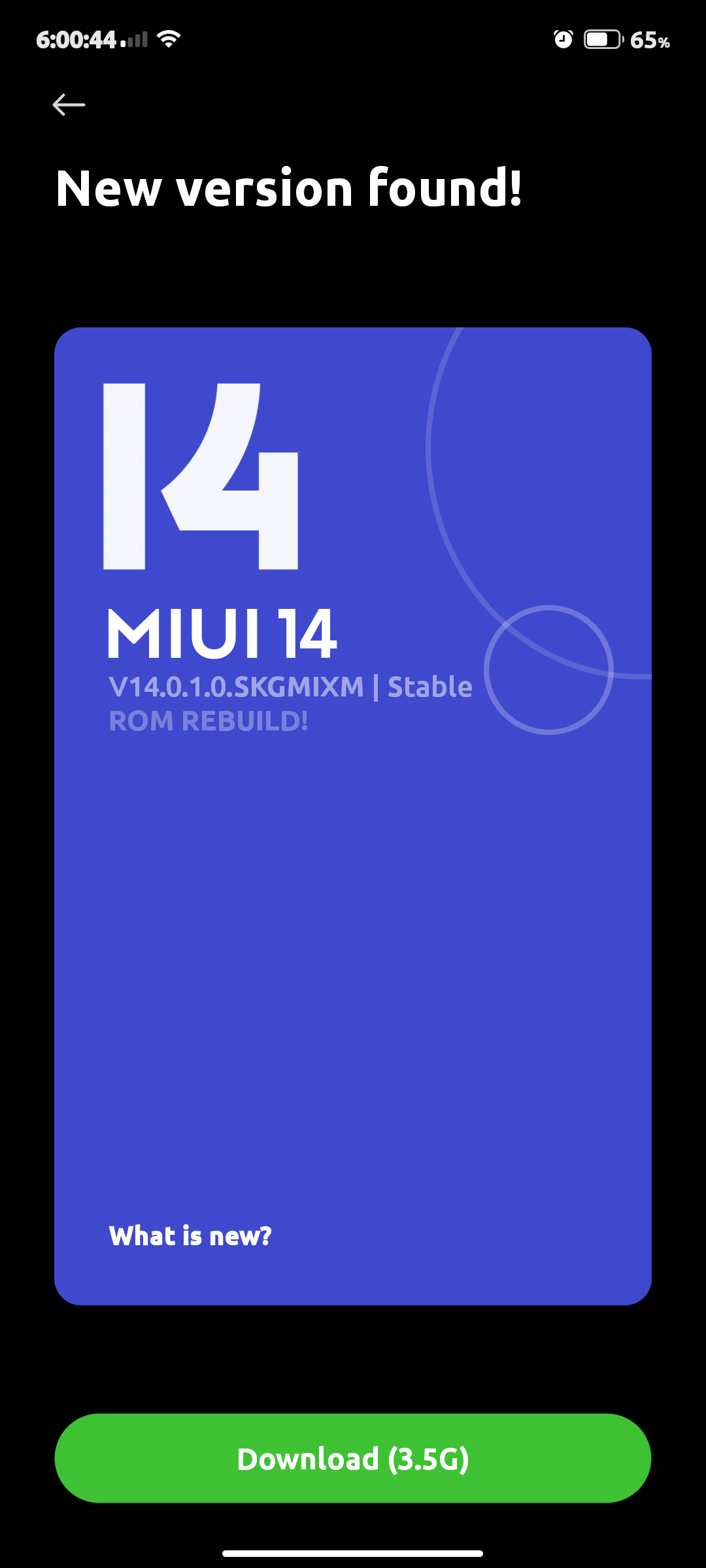 Screenshot_2023-02-02-18-00-45-196_com.android.updater.png
