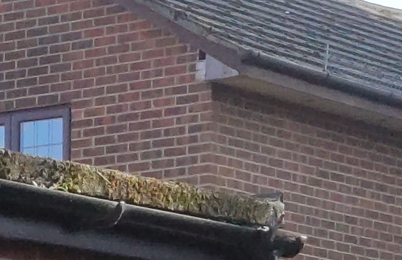StockCam48MP_Cropped.jpg