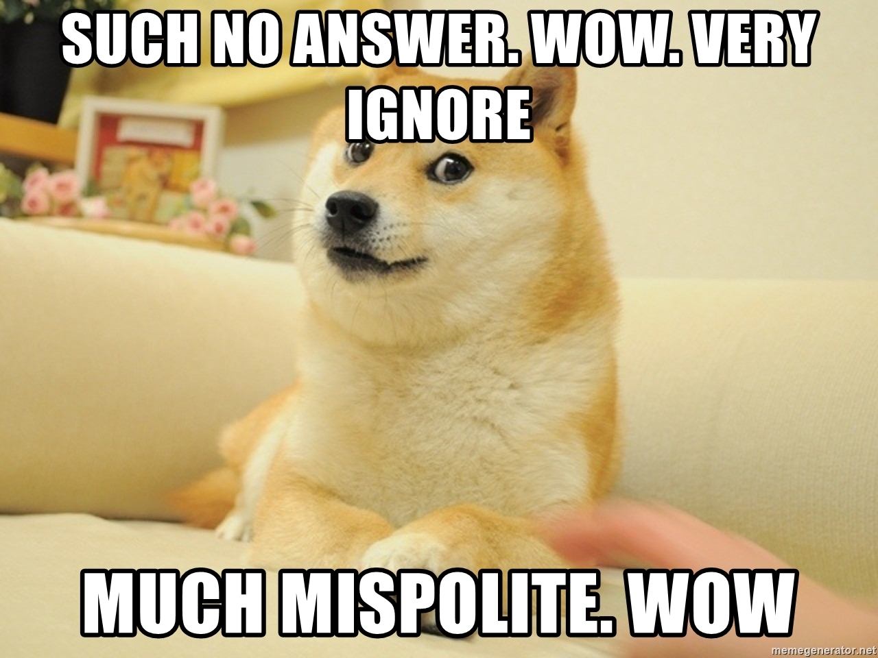 25244
