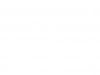Transparent.jpg