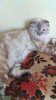 IMG-20160820-WA0000.jpg