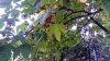 IMG_20160831_180614_HDR.jpg