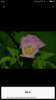 Screenshot_2017-06-16-22-25-39-435_android.png