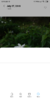 Screenshot_2018-07-29-09-49-17-844_com.miui.gallery.png