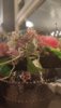 IMG_20190310_205012.jpg