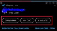 Cattura.JPG