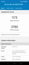 Screenshot_2022-07-22-03-16-36-838_com.primatelabs.geekbench5.jpg