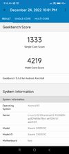 Screenshot_2022-12-26-03-18-06-932_com.primatelabs.geekbench5.jpg