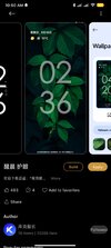 Screenshot_2023-01-11-10-50-34-497_com.android.thememanager.jpg