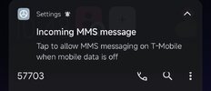 Screenshot_2023-01-28-10-49-04-650_com.google.android.apps.messaging-edit.jpg