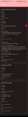 Screenshot_2023-04-21-09-57-26-777_com.androidfung.drminfo.jpg
