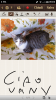 Screenshot_2013-09-14-09-06-25.png
