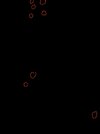 IMG_20240205_185048.jpg