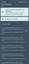 Screenshot_2025-04-22-12-07-05-455_io.github.vvb2060.keyattestation.jpg