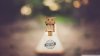 danboard_2-wallpaper-1920x1080.jpg