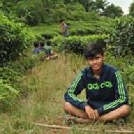 Sony Nur Alfian