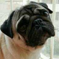 Oscar_Bueno