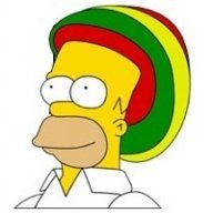 yanbernard