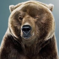 Lucky_Bear
