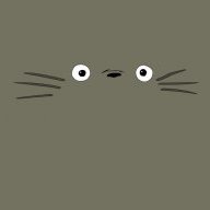 MrTotoro