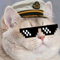 Heavy Brown Cat