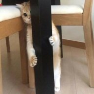 thisuseralreadyexist