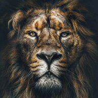 Sher A