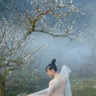 Anh Design