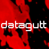 datagutt