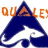 SquAlex