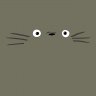 MrTotoro