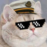 Heavy Brown Cat