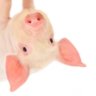 Cerdito04