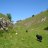 weaversbrook